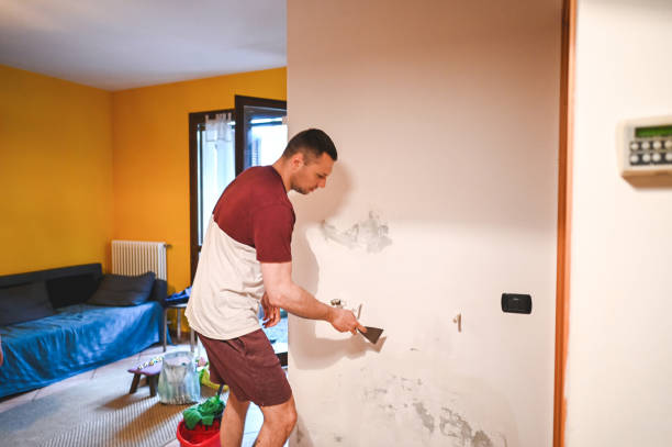 Best Commercial Mold Removal  in Sandy, UT